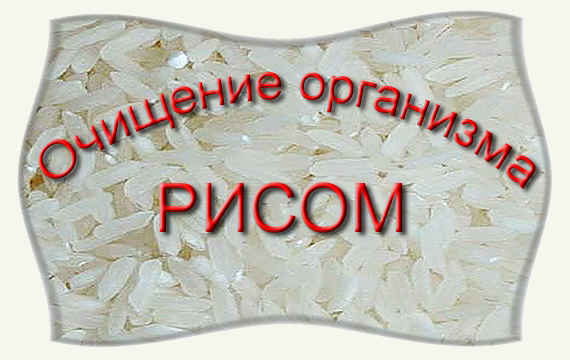 очищение организма польза очищение организма польза