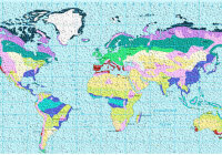 В чем заключается сущность закона географической зональности?