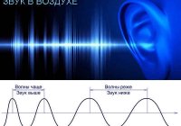 В какой среде звуковые волны не распространяются?