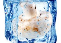 Можно ли шампиньоны замораживать для хранения в морозилке?